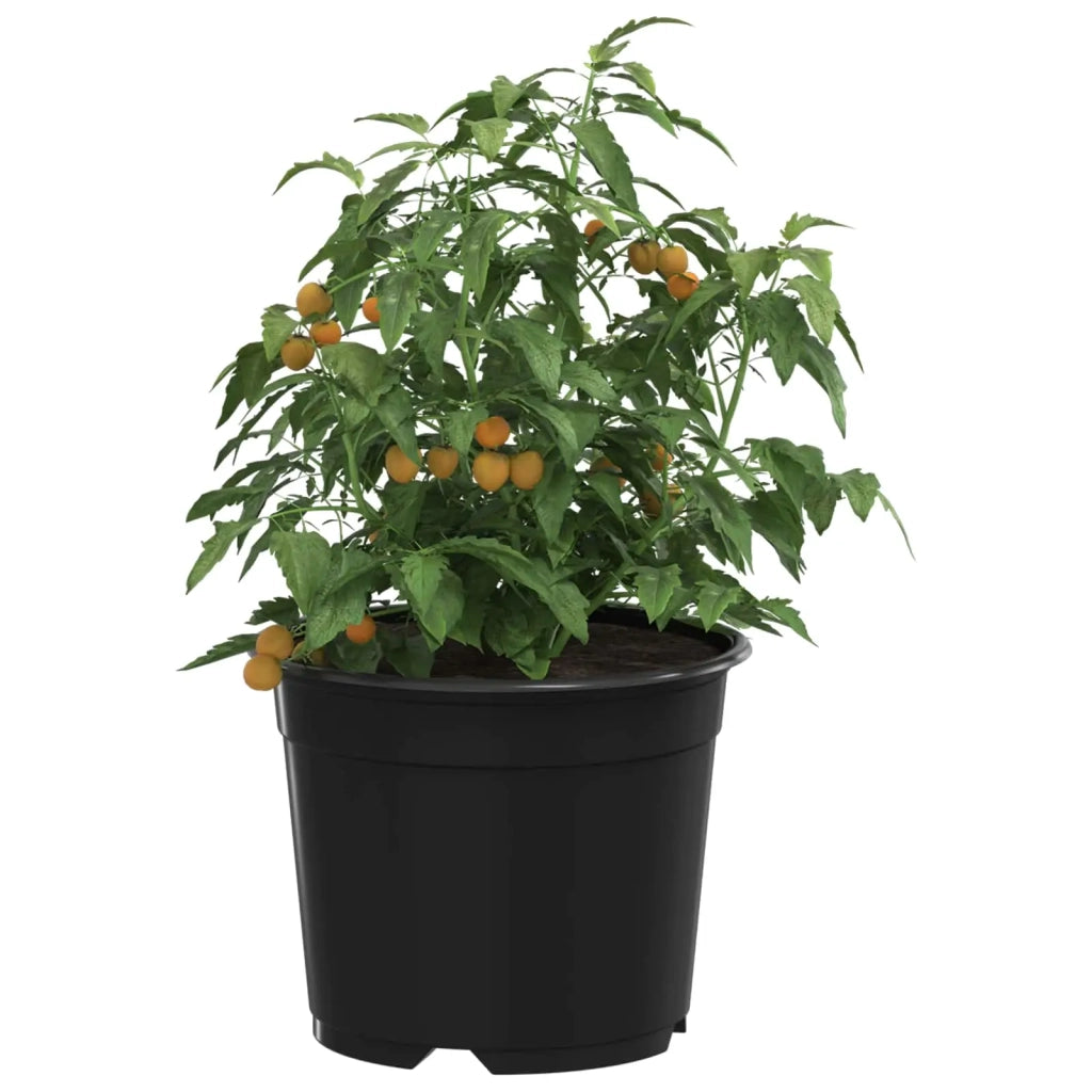 Fioriere | Cassetta per fiori | Vaso Rotondo per Fiori 100 pz Nero ? 10 x 8 cm Plastica