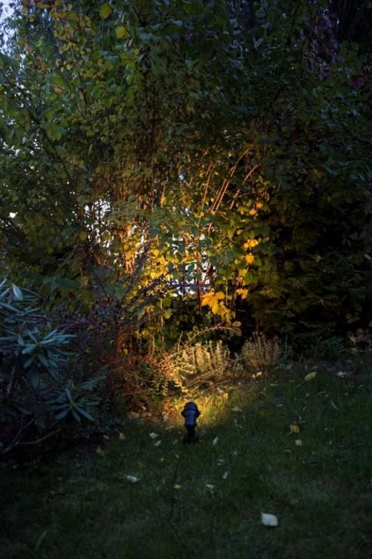 Faretto da giardino avvitabile GU10 nero IP54 SU-MA