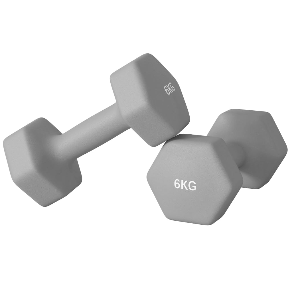 Manubri Esagonali 2x6 kg ¨C Xylo ¨C Metallo Plastica Impugnatura Antiscivolo Grigio 22x10x10 cm