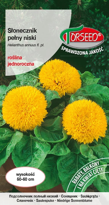 Fiore di girasole - Helianthus annuus pieno basso - giallo 2g
