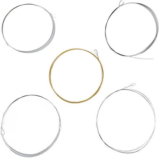 Set di Corde per Banjo in Acciaio Inossidabile - 5 Corde - Alto - Basso - Timbro Armonico - Qualità Audio Stabile