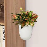 Pianta self-sostenibile a muro - Set di 2 vasi angolari a forma di triangolo in plastica per piante - Vaso moderno per succulente - Indoor outdoor per casa ufficio