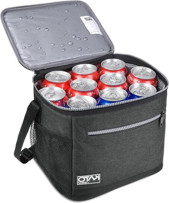 Tas termo isolata per pranzo - 10 l impermeabile - trasportabile per adulti e bambini - grande borsa per ufficio, scuola, picnic
