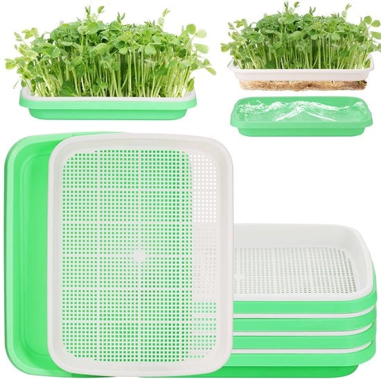 Kit di semi 5 pezzi - Scheda per semi - Contenitore per semi riciclabile - Contenitori per semi microverdi stivabili - Dimensioni 32,5 x 23,5 x 5 cm - Processo di crescita rapido - Contenitore per semi