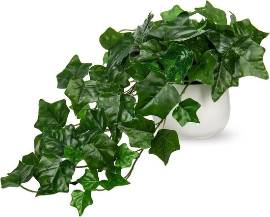 Pianta ornamentale a cascata in vaso ceramico - Pianta ornamentale mini monstera decorativa per interni ed esterni - Per casa, ufficio, bagno, cucina - Decorazione d'arredamento