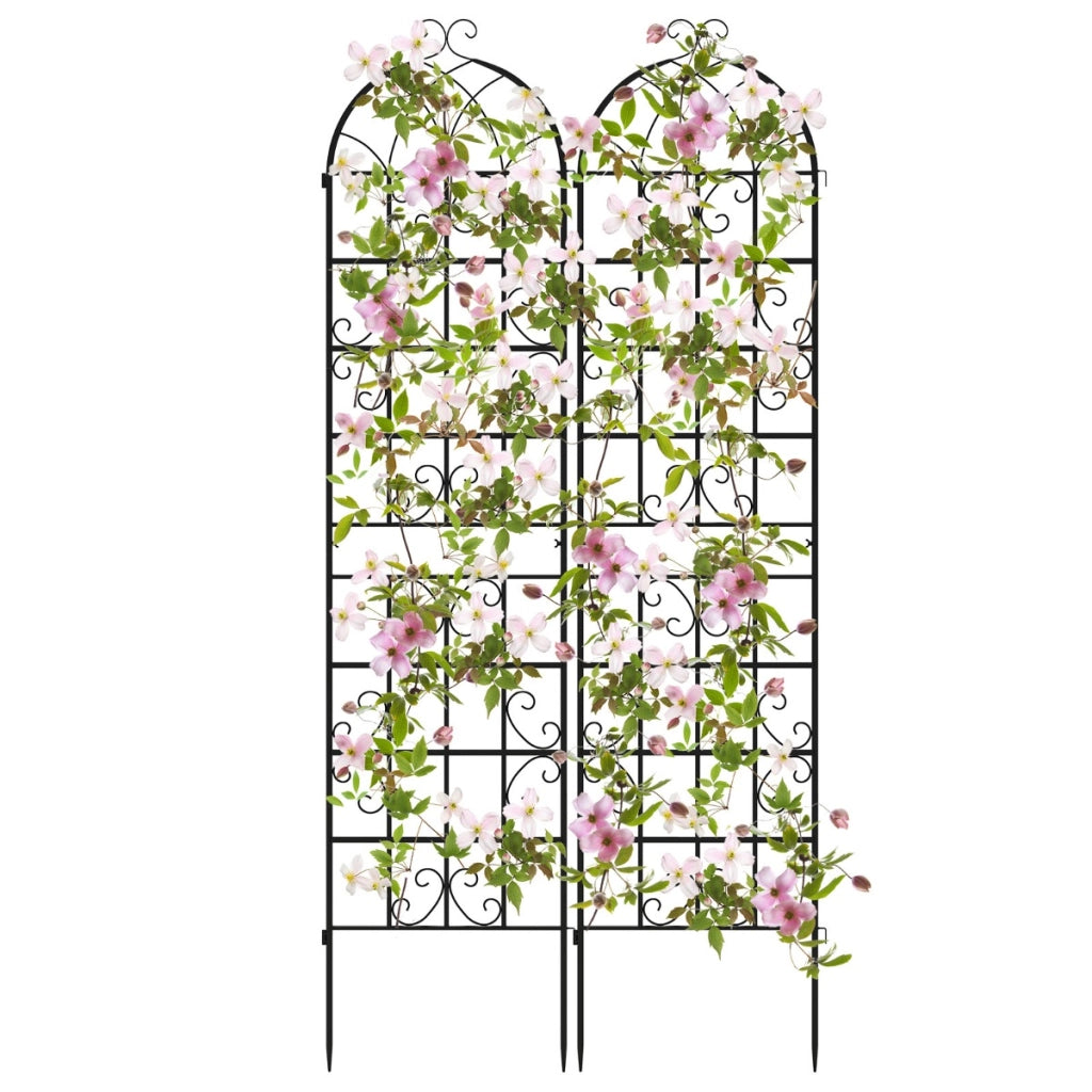 Arco da giardino 220x55cm in metallo, Pergola decorativa da esterno per piante rampicanti fiori verdure Nero 2 Pezzi