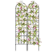 Arco da giardino 220x55cm in metallo, Pergola decorativa da esterno per piante rampicanti fiori verdure Nero 2 Pezzi