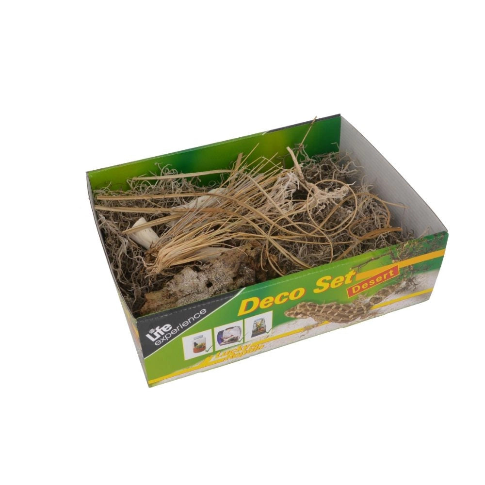 Lucky Reptile Deco Set Desert – Set Decorazioni a Tema Deserto per Terrari