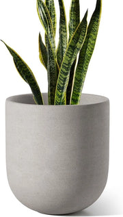 Pianta in Vaso di 25 cm - Vaschetta Ceramica per Piante - Adatta per Interno e Esterno - Grigio - Ceramica - 1 pezzo