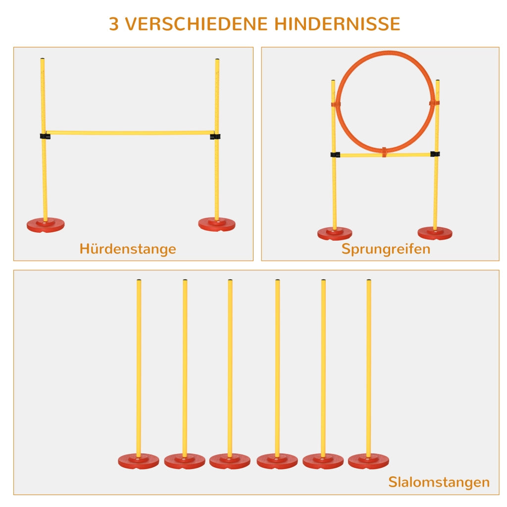 Set Agility per Cani 3 Pezzi ¨C Minimal ¨C Grigio/Verde