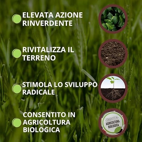 CONCIME ORGANICO FISIOATTIVATORE 'BLACKJAK BIO' ml 500  - VITHAL