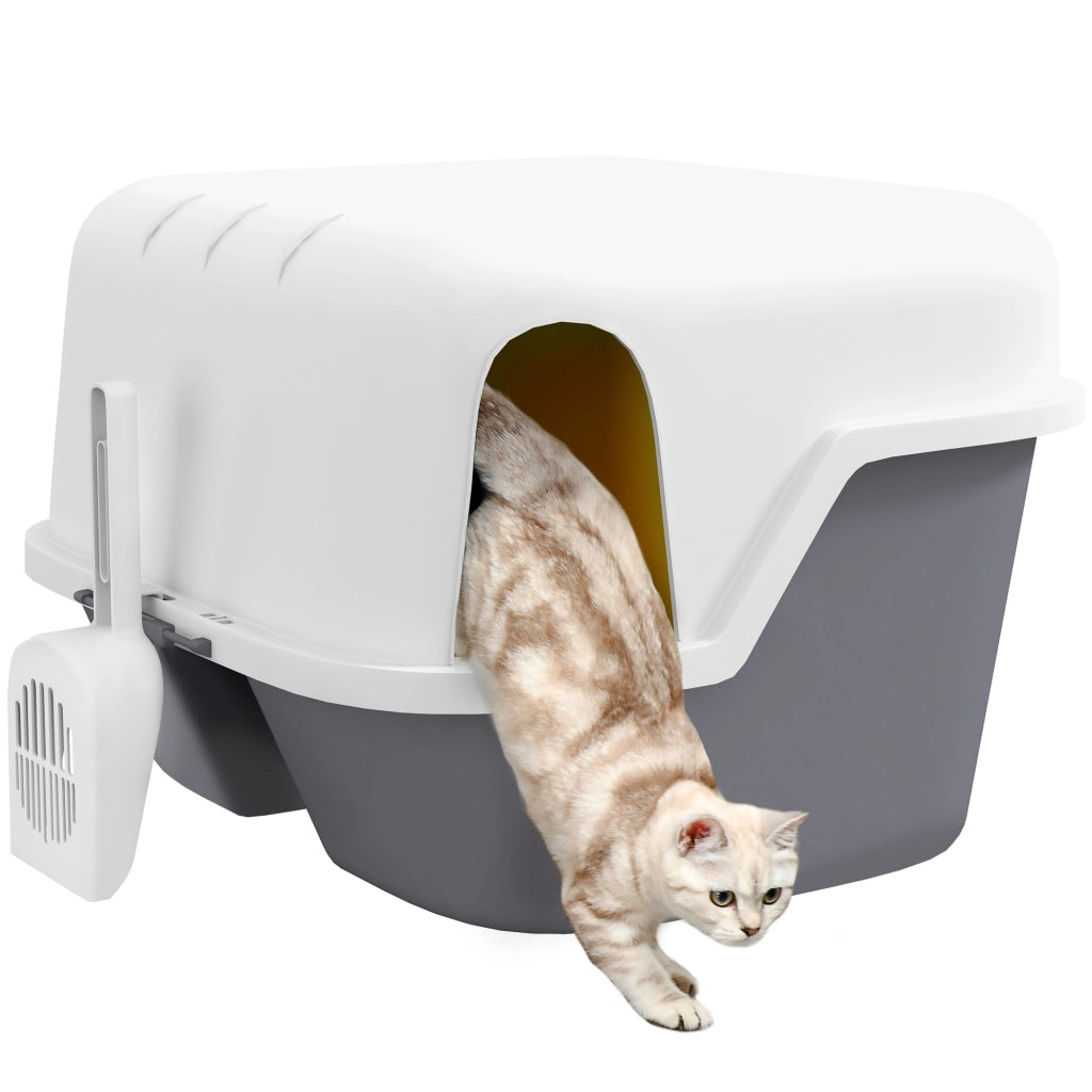 Lettiera per Gatti con Coperchio ¨C Xylo ¨C 50x50x39 cm Crema