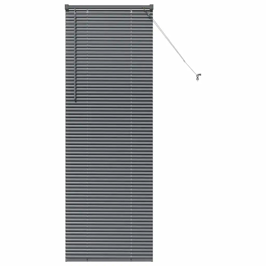 Tendaggi a Veneziana | Tenda a lamelle Grigio scuro 175 x 65 cm Alluminio
