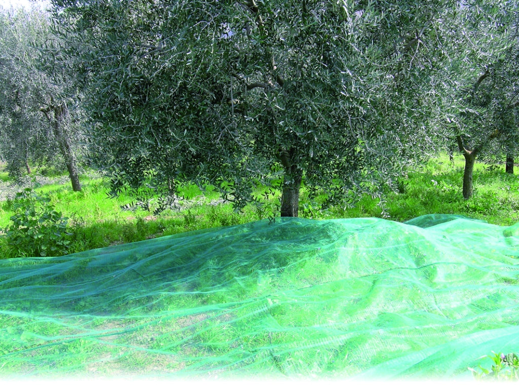 Confine RETE PER OLIVE ANTISPINE   mt.12x14