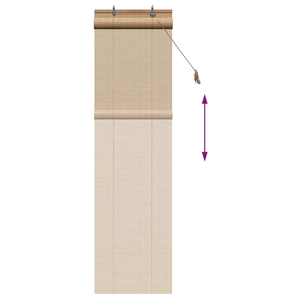 Tenda a rullo Marrone 70 x 220 cm Bambù 42039743