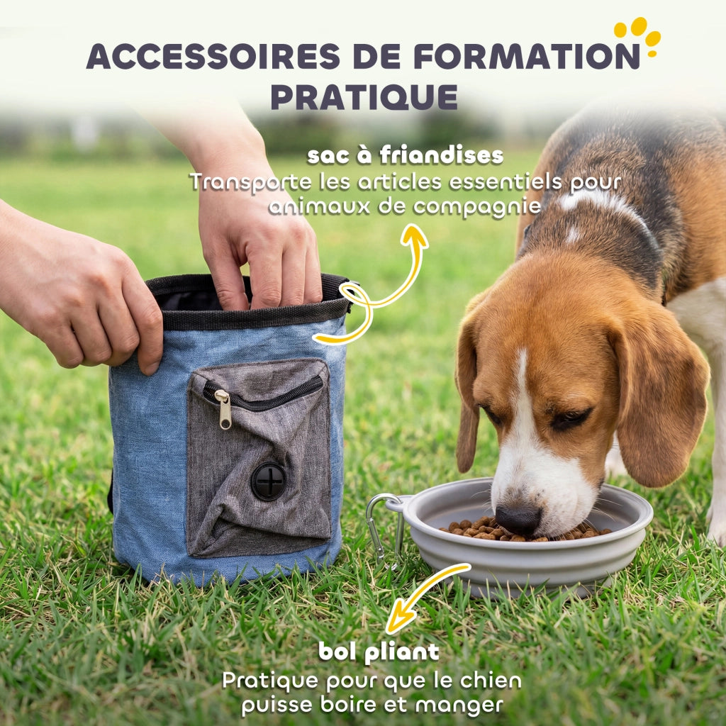 Set Agility per Cani 11 Pezzi ¨C Xylo ¨C con 2 Tunnel, Ostacoli Regolabili, Arancione e Blu