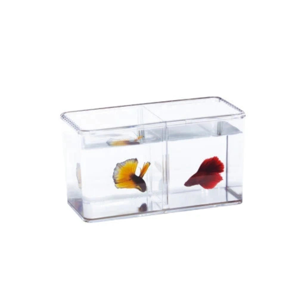 Ista Betta Double Display Case - Minibettiera in acrilico