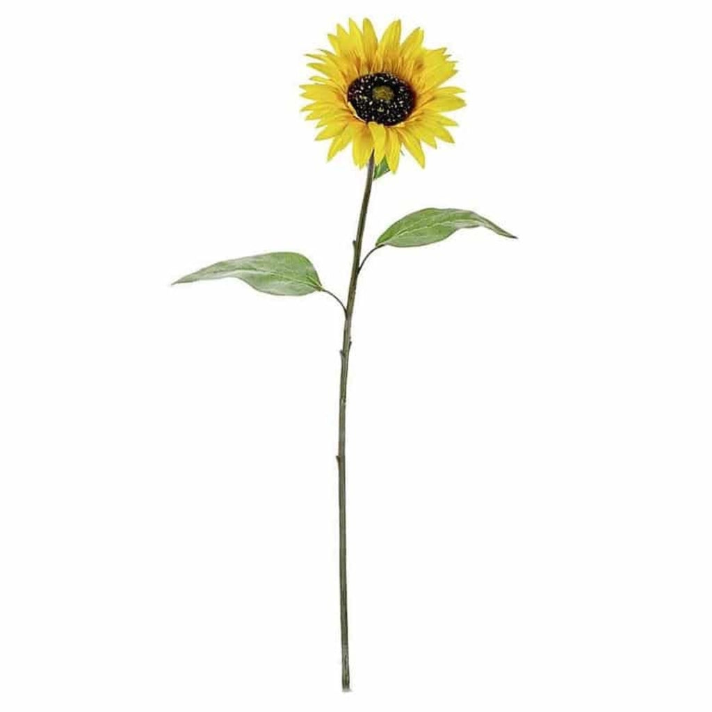 Girasole 73cm