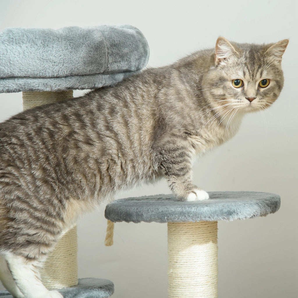 Tiragraffi per Gatti 65 cm ¨C Xylo ¨C Grigio con Cuccia e Piattaforma