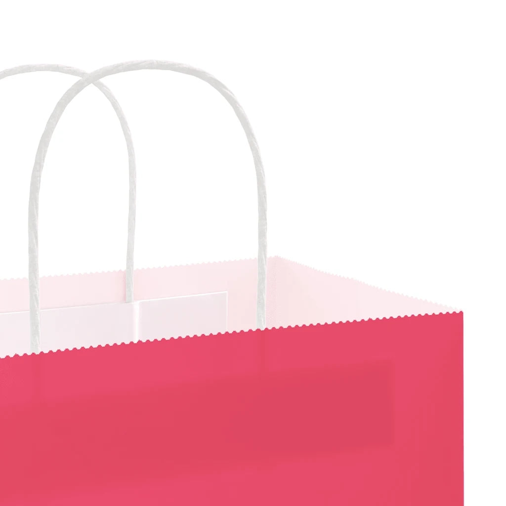 Sacchetti di Carta 50 pz con Manici Rosa 21x11x31 cm 4101658