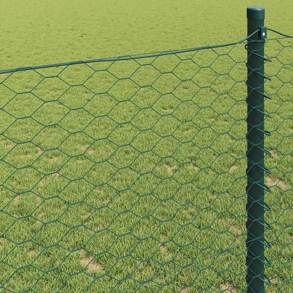 Recinzione da Giardino | Recinzione Esagonale Verde 1 x 100 m PVC