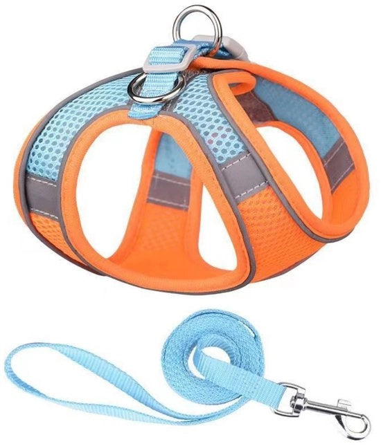 Cinturoni per gatti - Linea di cinturoni per cani di piccola e media taglia - Cinturone per gatti regolabile - Giacca respirante per gatti con riflessi - Linea di giubbotti per cani di piccola e media taglia - 

Modello: L