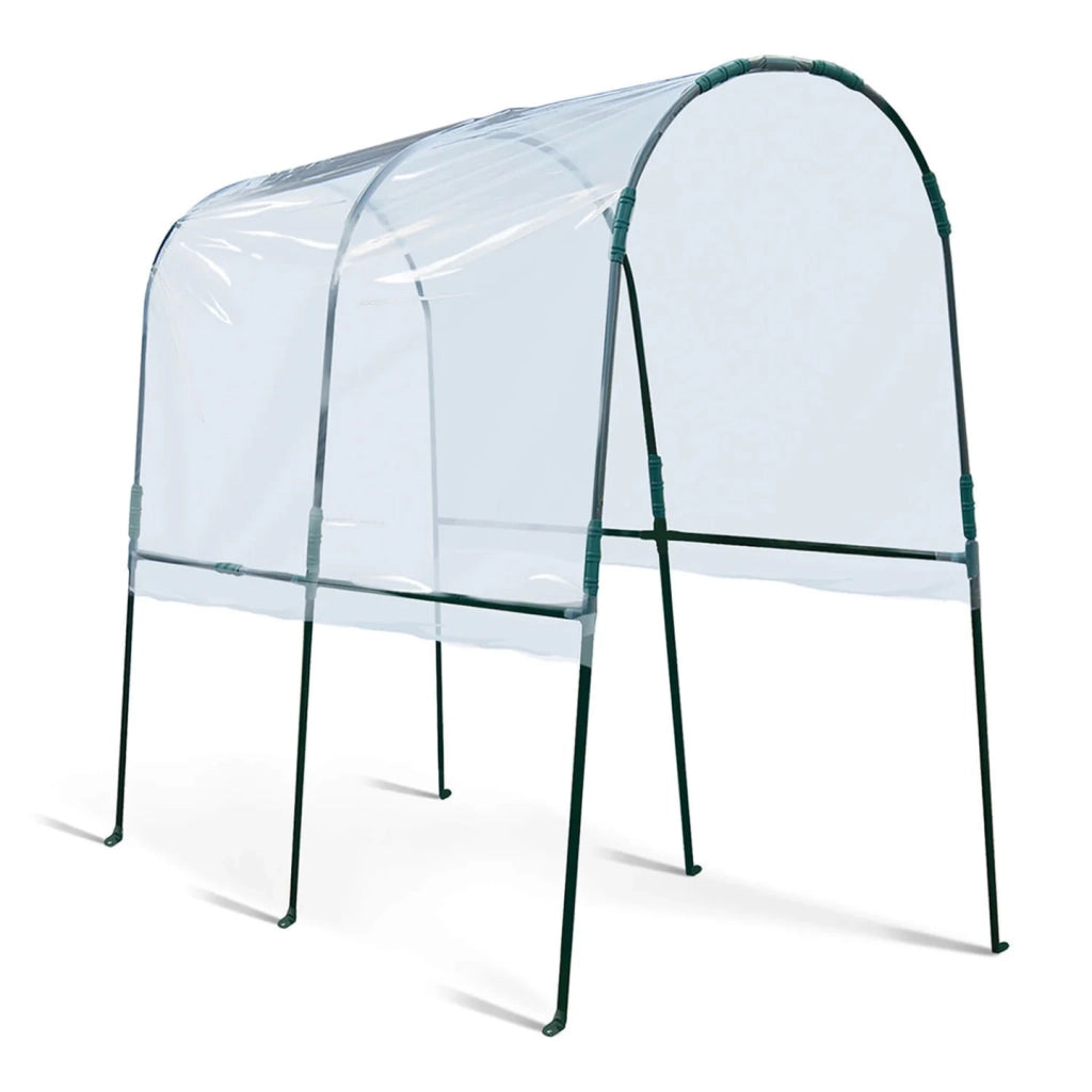 ProBache - Serra da giardino per pomodori 200 x 120 x 170 cm con telo trasparente + archi in acciaio