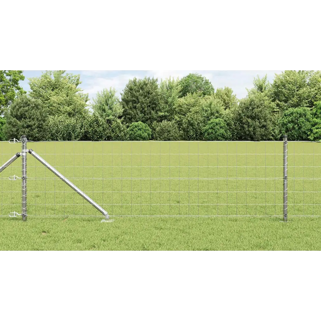 Recinzione con Posto Argento 0,6 x 25 m Acciaio