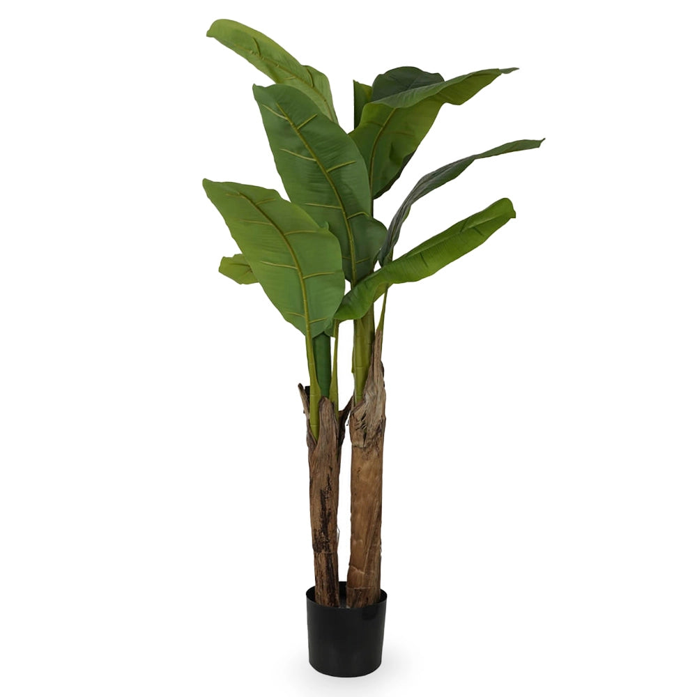 Albero di Banano Artificiale premium con vaso tropicale realistica h 140 cm