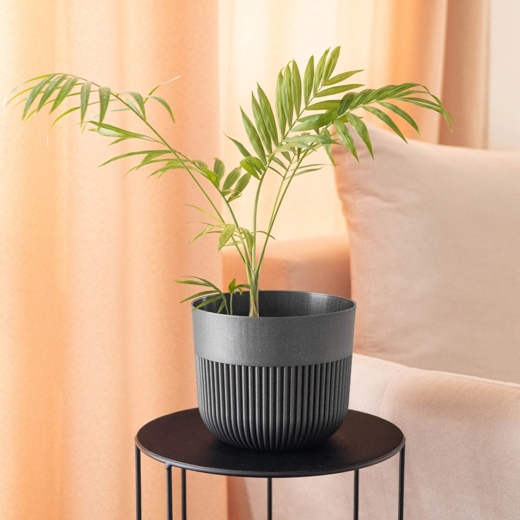 Vaso da fiori KADAX, Coprivaso, 15 cm, Plastica, Rotondo, A coste, Grafite