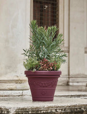 Cheonda - Vaso Festonato Colore: Burgundy, Taglia: 62 -9, Materiale: Polietilene