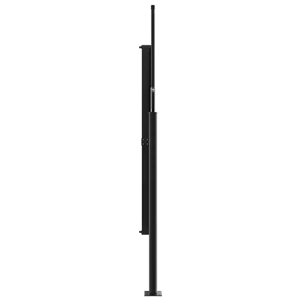 Tenda da Sole | Tenda parasole laterale retrattile antracite 160x300 cm