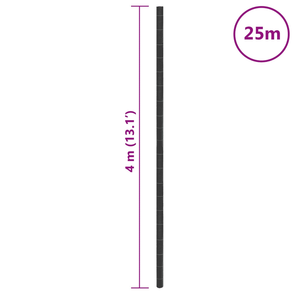 Membrana Antierbacce Nera 4x25 m in PP 4005201