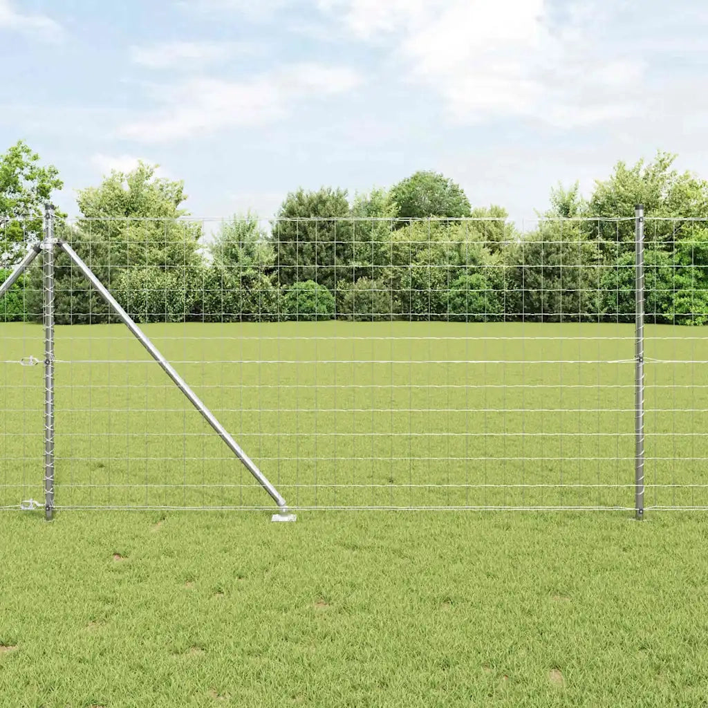 Recinzione da Giardino | Recinzione con Posto Argento 1 x 25 m Acciaio