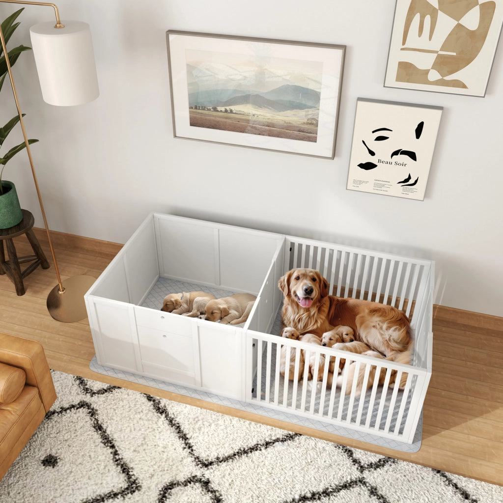 CUCCIA Parto Cani 166x80x50 cm MDF Bianca 7 Pezzi 2 Spazi
