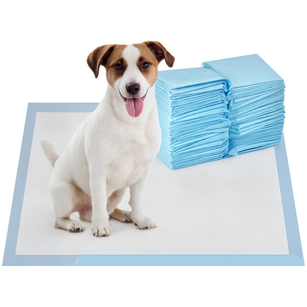 Tappetini Assorbenti per Cani ¨C zephmum ¨C Blu 45x60 cm 100 Unit¨¤