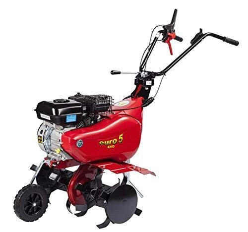 Eurosystems 946450000 Motozappa Euro 5 EVO con Motore Briggs and Stratton 208 cc Fresa 75 cm Retromarcia Manico Regolabile colore Rosso