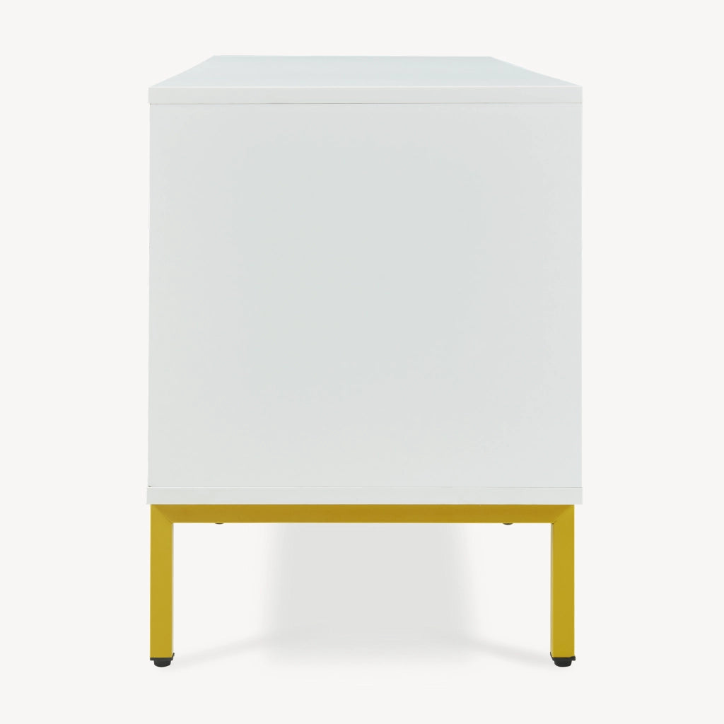 Mobile Porta TV Reyri a 2 Ante e 2 Vani Aperti 120 x 39 x 52 cm - Bianco/Dorato [en.casa]