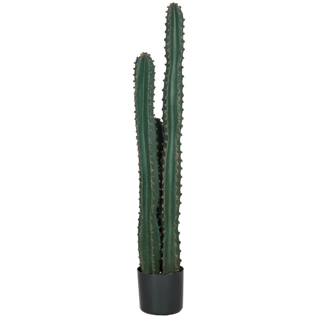 Pianta Cactus Artificiale ¨C Xylo ¨C Verde ? 18 x 120H cm