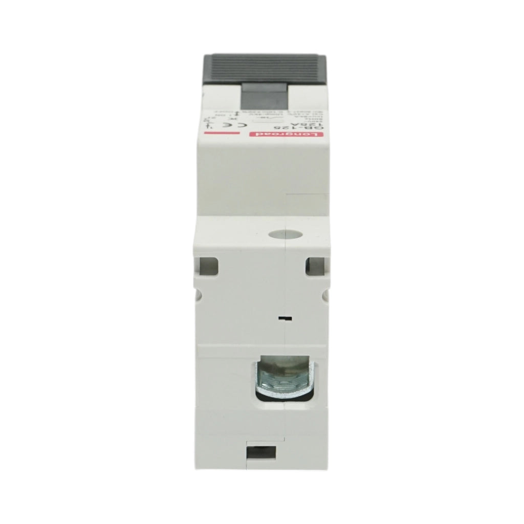 Interruttore automatico MCB 1P, 125A 240VAC, 6kA Longroad