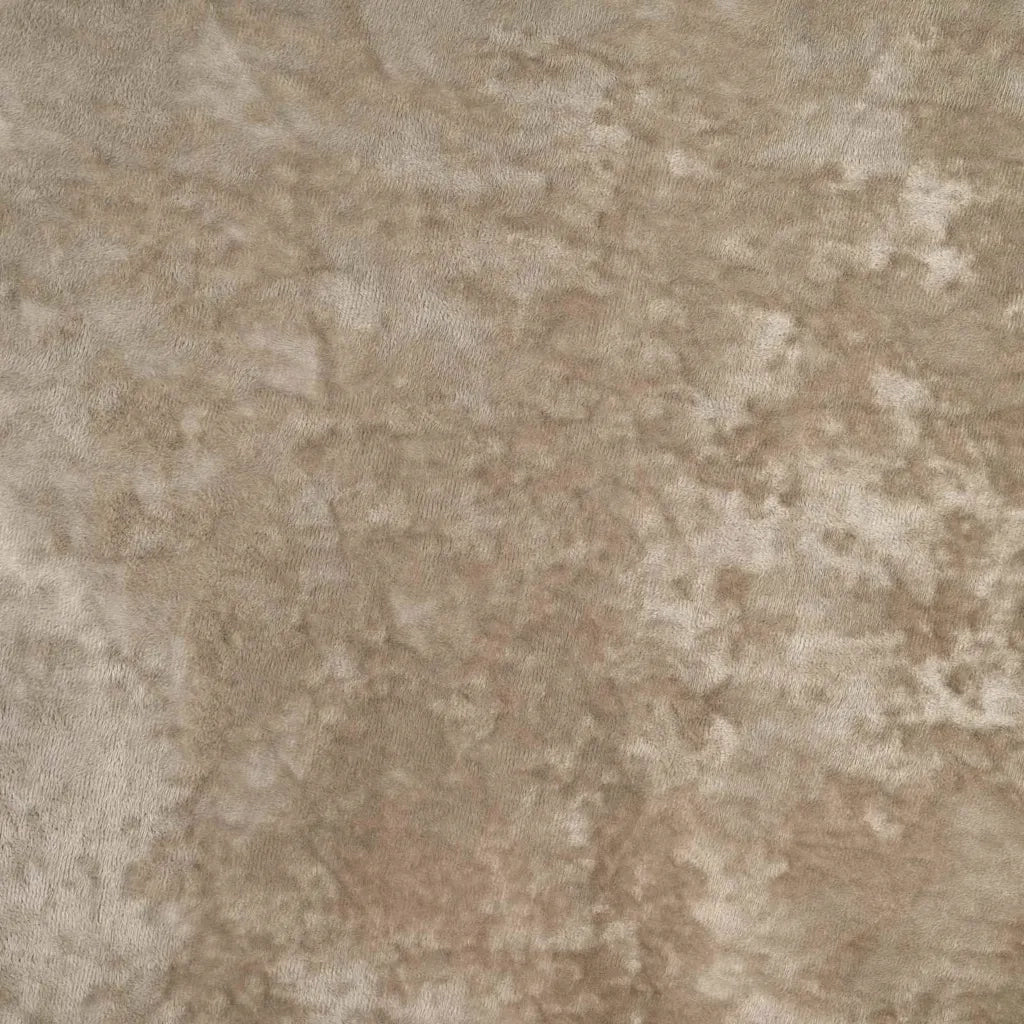 Tende in Velluto con tende 2 pcs Champagne 225 x 140 cm Velluto 4107710