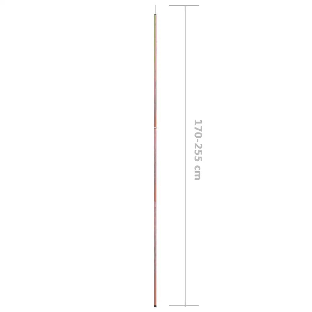 Aste Telescopiche per Tende 170-255cm 2 pz in Acciaio Zincato CFW2741312