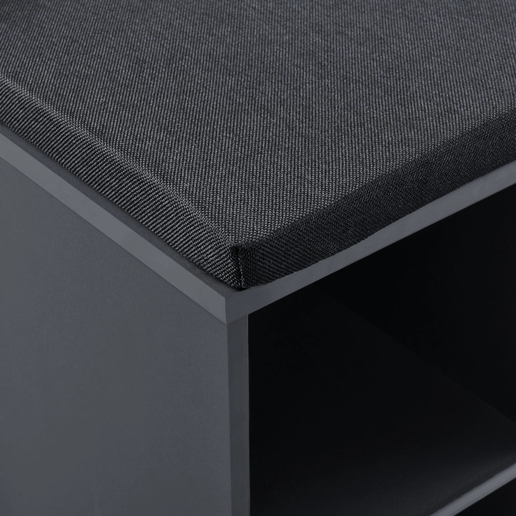Scarpiera con Seduta Imbottita Panca Portascarpe con 10 Vani 103x48x30 cm Grigio Scuro [en.casa]