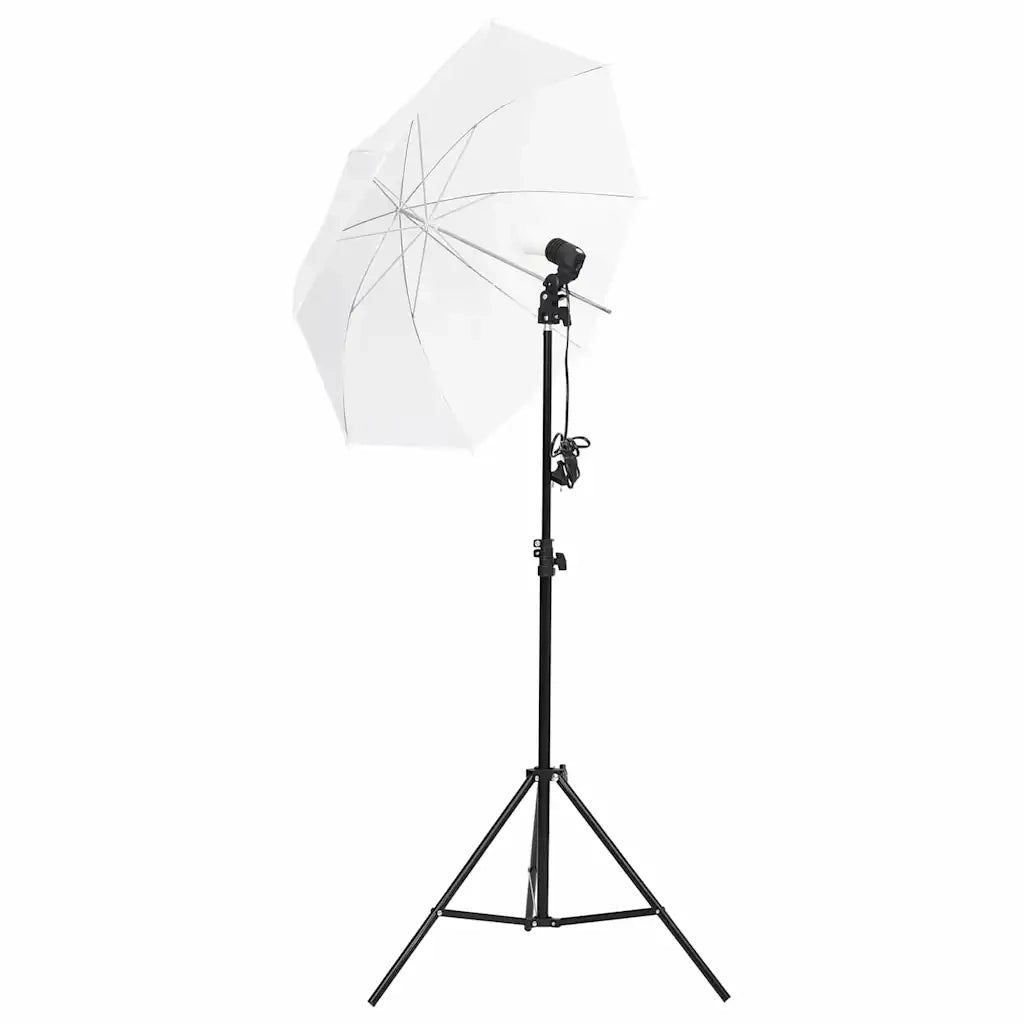 Kit per Studio Fotografico con Set Luci, Fondale e Riflettore 3094662