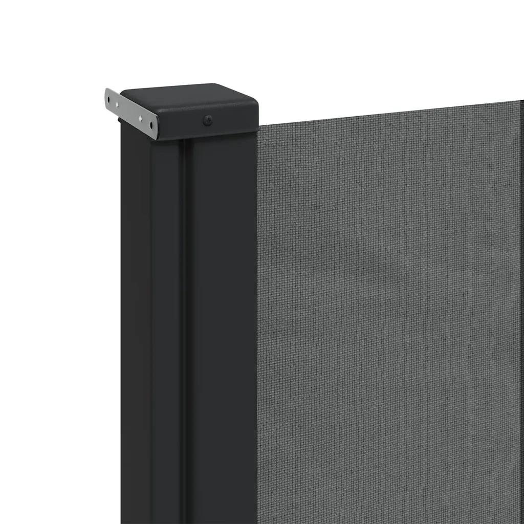 Tenda da Sole | Tenda parasole Laterale Retrattile Antracite 200x600 cm