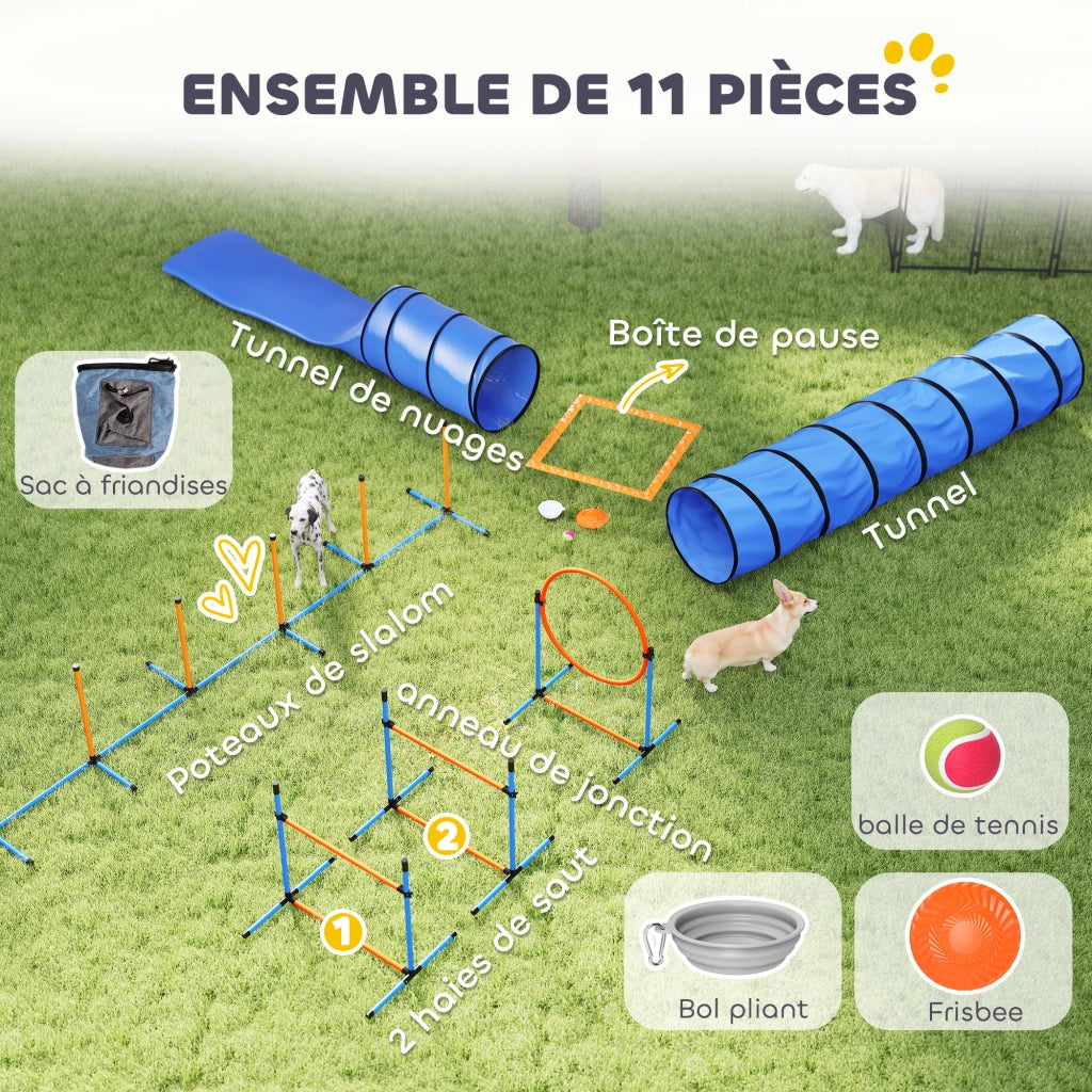 Set Agility per Cani 11 Pezzi ¨C Xylo ¨C con 2 Tunnel, Ostacoli Regolabili, Arancione e Blu