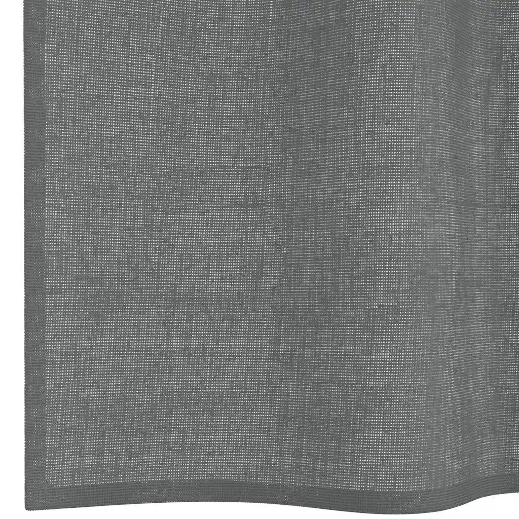 Tende in Voile con Passanti 2 pz Grigio Scuro 140x245 cm