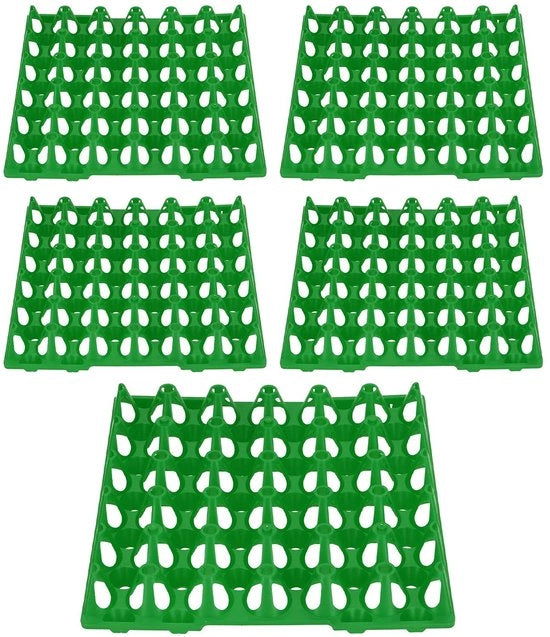 Esercizi di plastica per uova - 5 pezzi - Colore verde