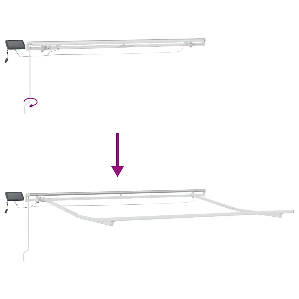 Tenda da Sole | Tenda Retrattile Manuale con LED 300x250cm Marrone