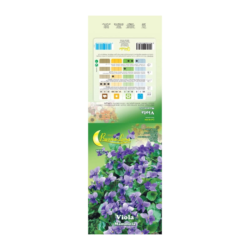 SEMI GARDEN VIOLA MAMMOLA- 10,0 pz